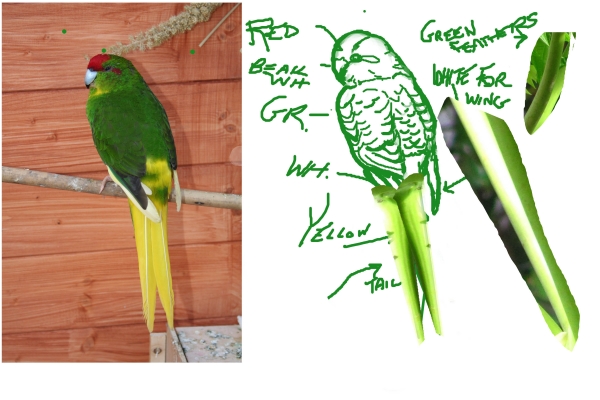 Creation of Jungle Life: Step 3